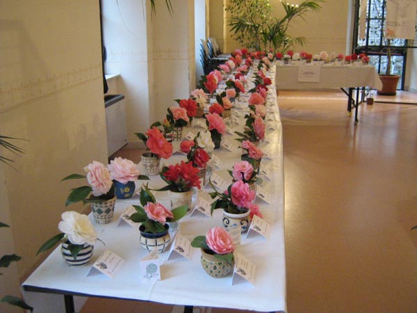 Angera mostra 2007